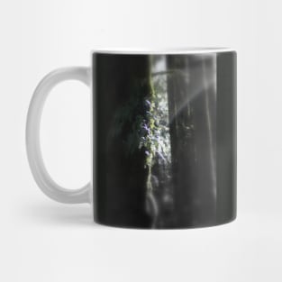 snowy Oregon ferns in trees 3 Mug